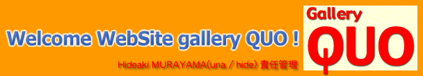 Welcome Website GalleryQUO!